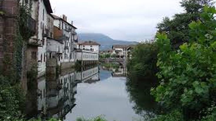 Hirigintzan xertaturiko zuhaitzen mantentzea