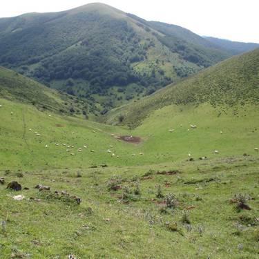 Natura 2000 Sareari buruzko mintzaldia eginen dute ortzegunean Arizkunenean