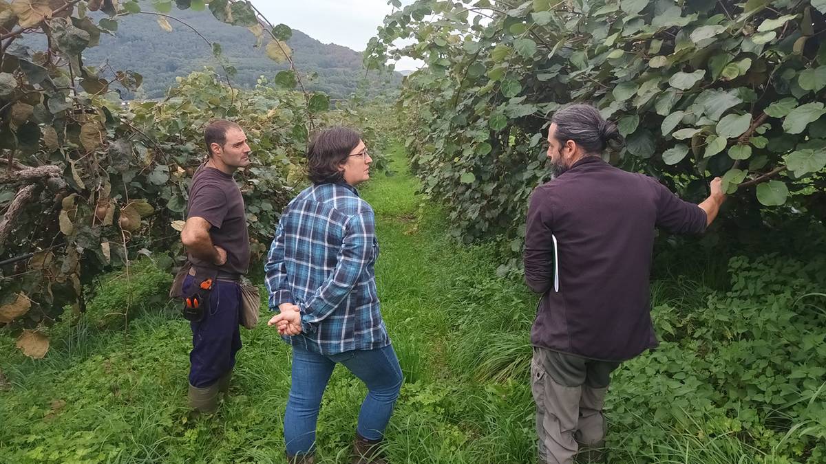 Mendialdeko eta Bidasoaldeko 12 ustiategi txikiren lehiakortasuna eta ekoizpen arduratsua hobetzeko lanak egin dituzte