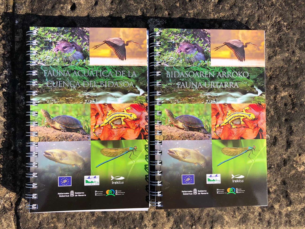 Bidasoko ureko fauna, Nafarroako Gobernuaren argitalpen berri batean ikusgai