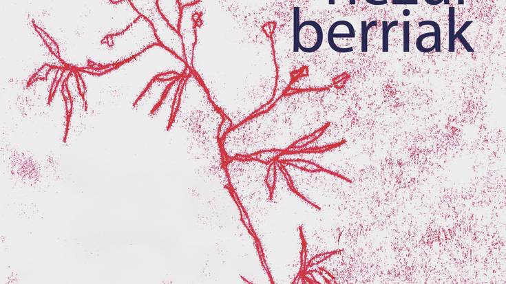 Etzi 'Hezur Berriak' lana besapean Lesakan izanen den Ane Labakarekin egon gara