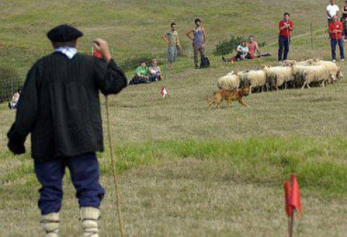 Uharte Arakilgo 42. Artzain Eguna igandean ospatuko da