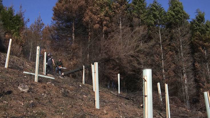Auzolanak egiteko aukera ireki du Igantziko udalak ere