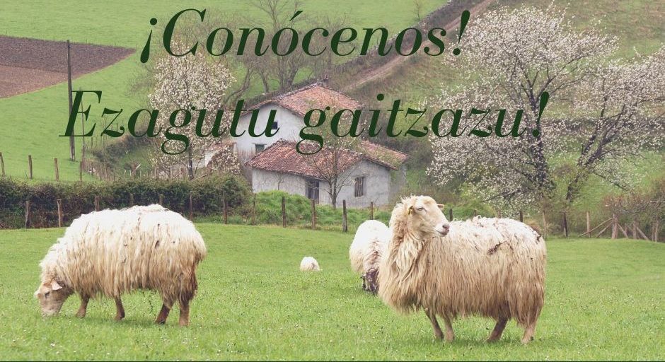 Ezagutu gaitzazu! kanpaina abiatu du Baztan-Bidasoa Turismoa elkarteak