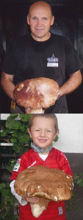 Kiloko onddoak Erratzun