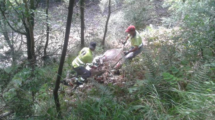 Aritzakun-Urritzate-Gorramendi aldean lanak egin dituzte gizarteko bazterkeria-arriskuan dauden hiru pertsonek