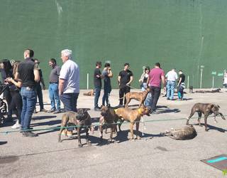 [ARGAZKIAK] Basati Alaunt elkartearen besta egin dute igandean Donezteben