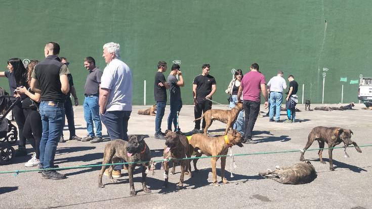 [ARGAZKIAK] Basati Alaunt elkartearen besta egin dute igandean Donezteben
