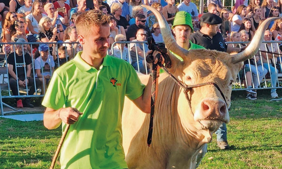 «Lehenbiziko sektorearen segida gizartearen esku dago»