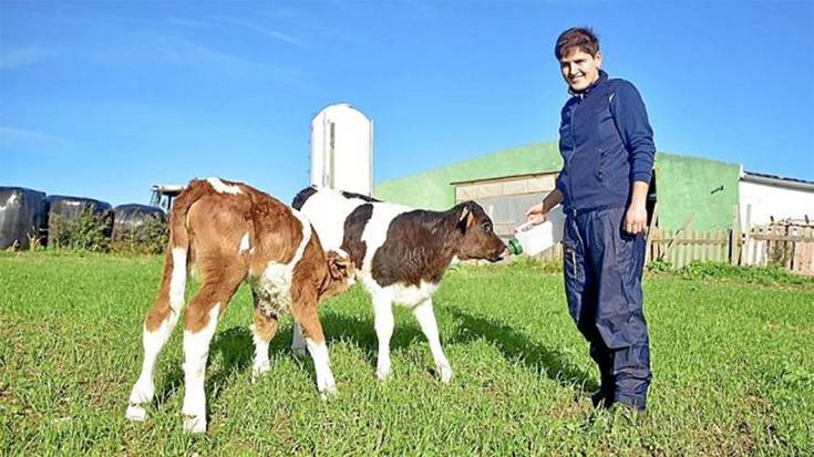 Lehen sektorean ari diren langileak ahalduntzeko tailerrak eginen ditu Cederna Garalurrek