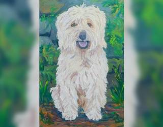 JL Torralbaren pintura erakusketa izanen da Elizondon ekainaren 5etik 21era