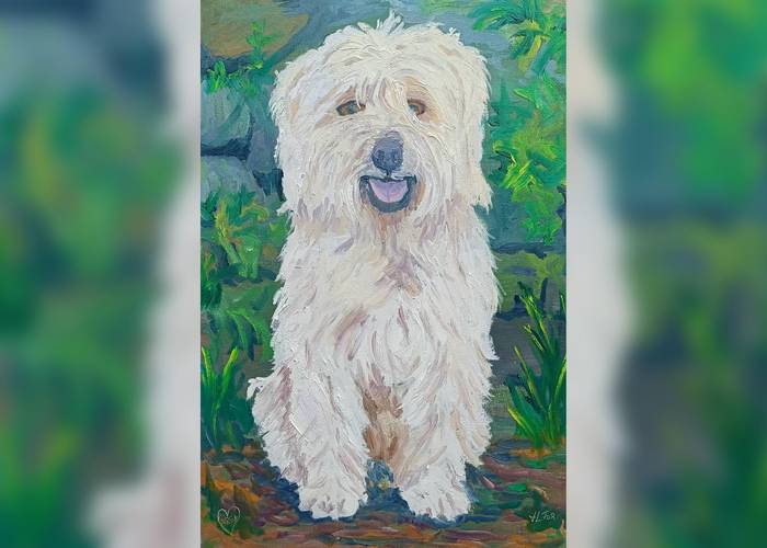 JL Torralbaren pintura erakusketa izanen da Elizondon ekainaren 5etik 21era