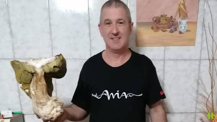 Onddo ederrak hartu dituzte Sunbillan