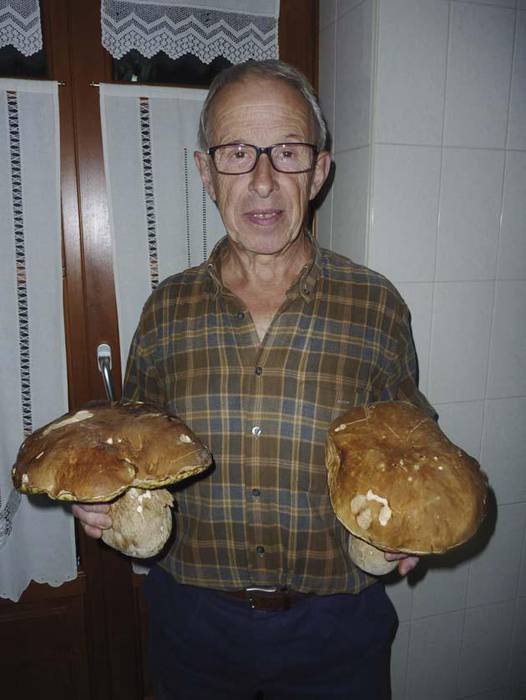 Onddo haundiak