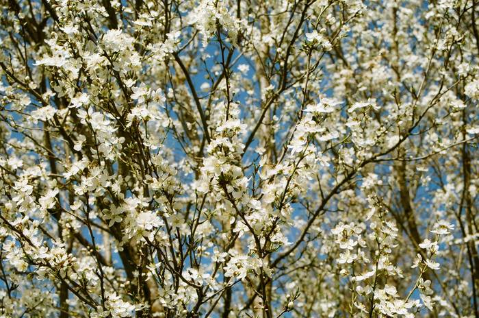 'Gereziondoa' erakusketa «bitxia» bihartik irailaren 27ra arte Arizkunenean ikusgai egonen da