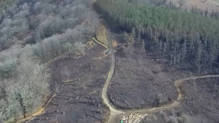 Goizuetan izan diren azken bi suteen ondorioak bideoan