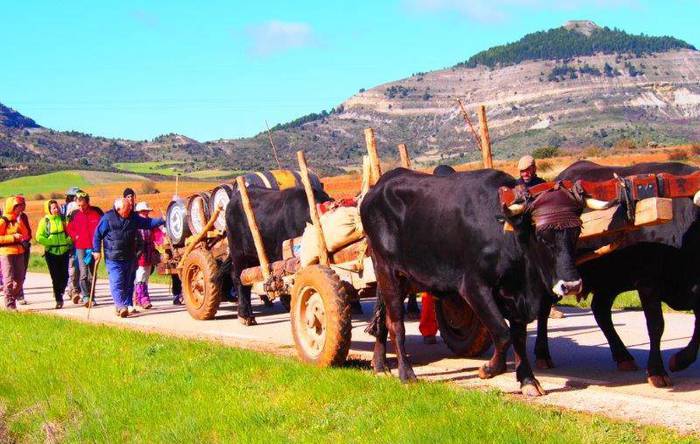 Gurdi Bideari harrera eginen diote Leitzan irailaren 14an