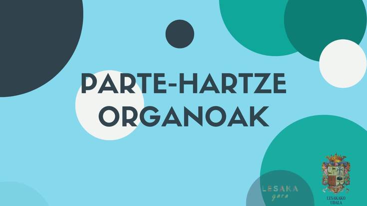 Haur eta nerabeen parte-hartze organoari buruzko informazio bilera eginen du Lesakako udalak urtarrilaren 15ean
