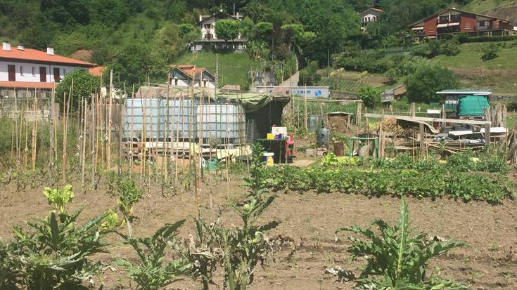 Zahar Etxe ondoko baratzeetan eltxoen fokuak ez sortzeko bandoa argitaratu du Lesakako Udalak
