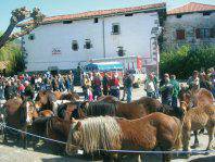 Udaberriko Azienda Feria ikusgarria suertatu zen