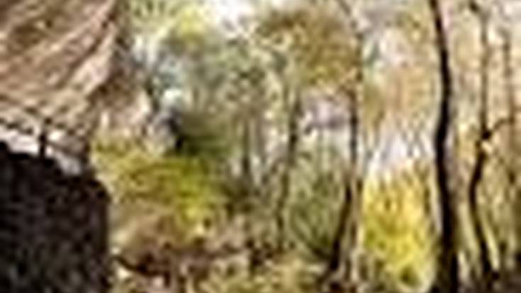 Kobazuloen egunerako egitarau erakargarria Zugarramurdin