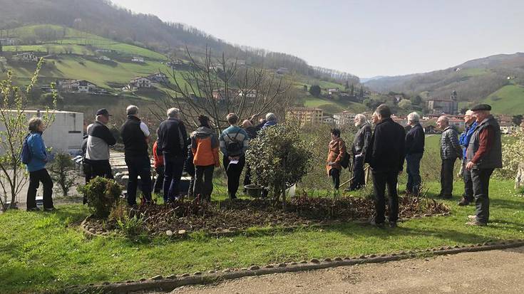 Hogei lagunek parte hartu dute Lesakan arbolen txertaketa eta klonazio tailerrean