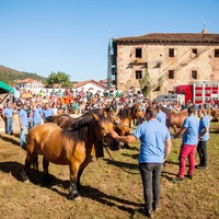 Burgete arrazako zaldi eta behorren XIV. Lehiaketa eginen dute igandean Urdazubin