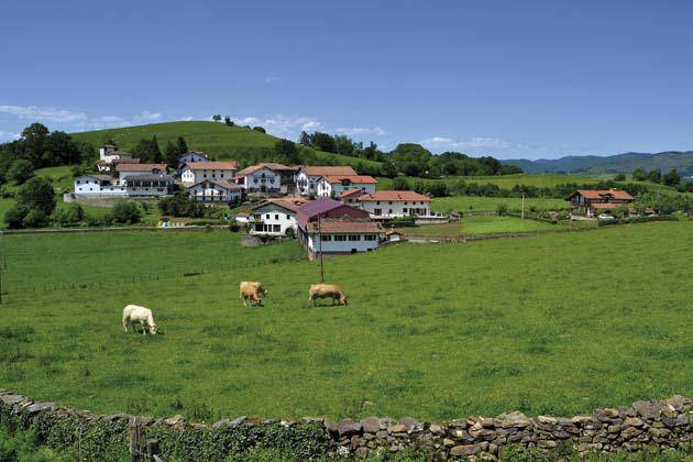 Bertzelako bizimodu baten bila