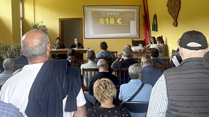 17.428 euro eskuratu dituzte Aresoko uso postuen enkantean