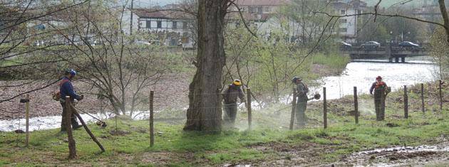 Elizondoko Giltxaurdiko erreka bazterrak egokitu dituzte urritasuna duten langileek