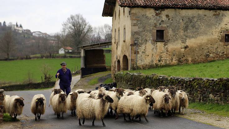 Herri ttikiak eta handiak: erronkak eta aukerak