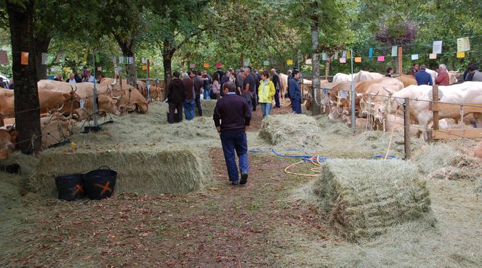 Behi azienda pirenaikoaren 29. Lehiaketa-enkantea irailaren 24 eta 25ean ospatuko dute Elizondon