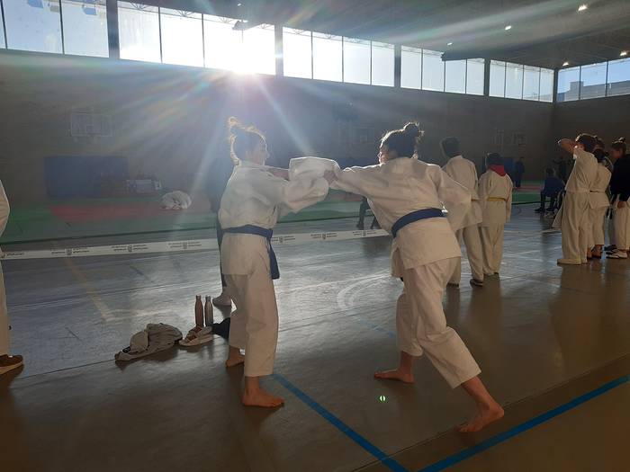 Errekako judo taldea Nafarroako kirol jokoetan hasi da