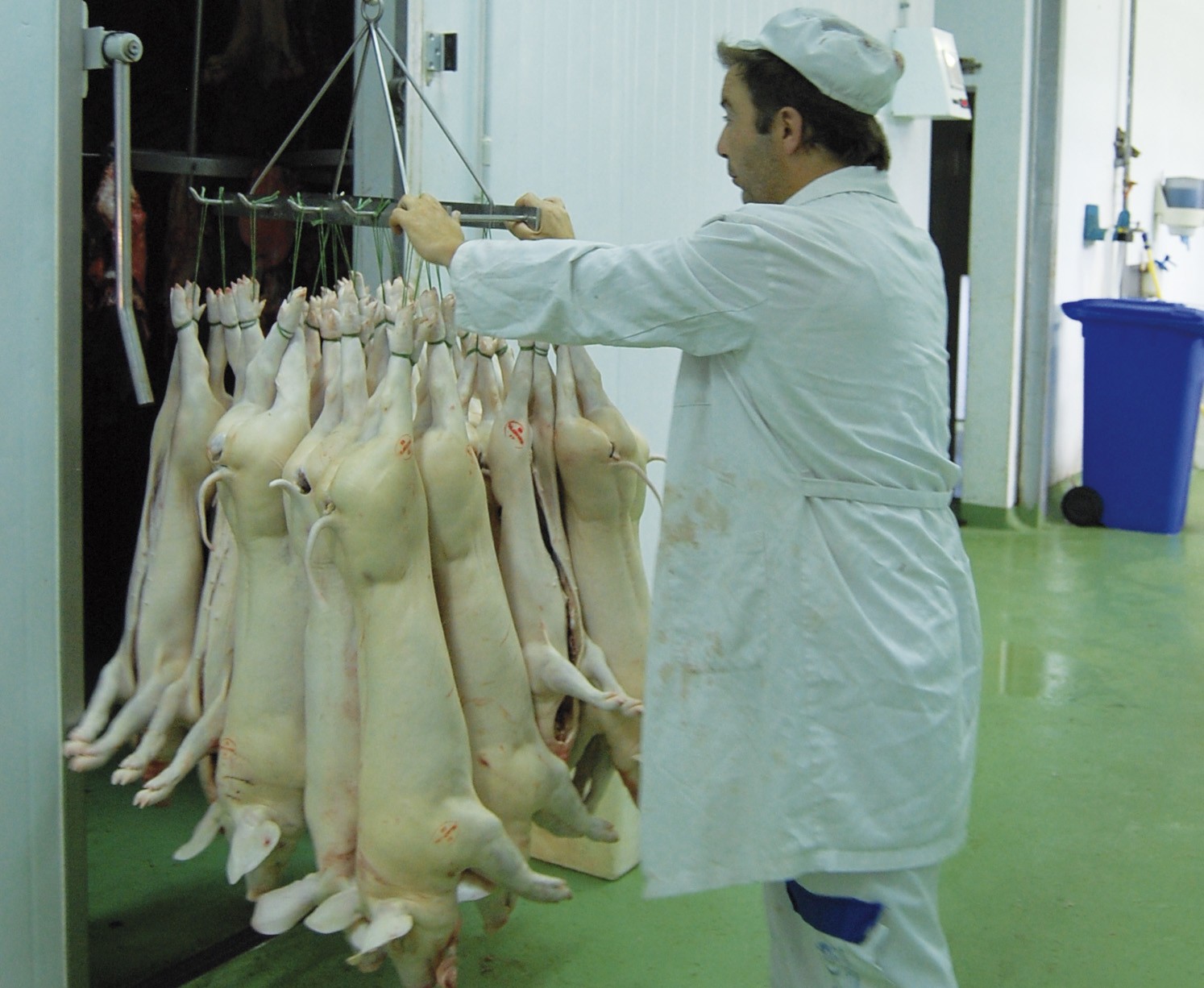 Baztango Navarra Sumak irregulartasunak ikusten ditu Loizu hiltegiaren kudeaketan