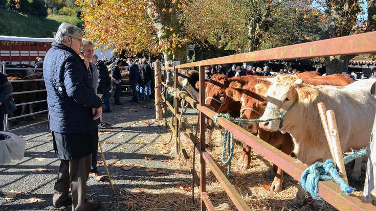 Aziendak, Malerrekako eskulangileak eta baserrietako jan-edariak eta komertzioak karrikara atera dira Doneztebeko ferietan
