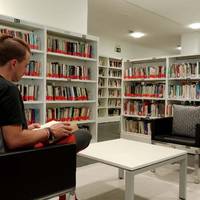 Lesakako Irakurraldi Jarraituaren I. Jaialdia eginen dute gaur liburutegian