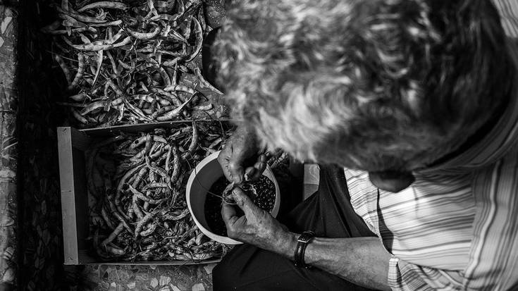 Beti Gaztek antolatutako argazki lehiaketara lanak aurkezteko azken astean sartuak