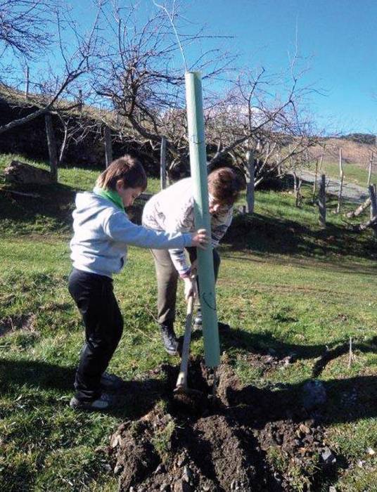 Eskolako haur eta gurasoak udaberria prestatzen hasi dira neguan