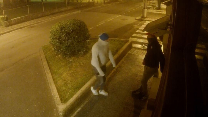 Lesakako Bittiria karrikako janari-denda batean lapurtzeagatik bi gazte ikerketapean