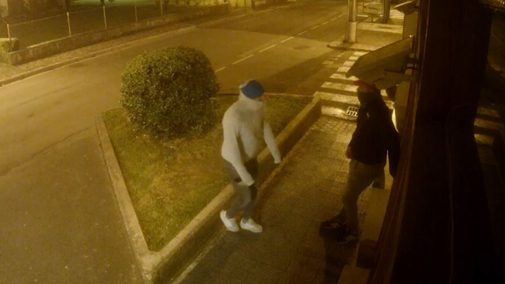 Lesakako Bittiria karrikako janari-denda batean lapurtzeagatik bi gazte ikerketapean