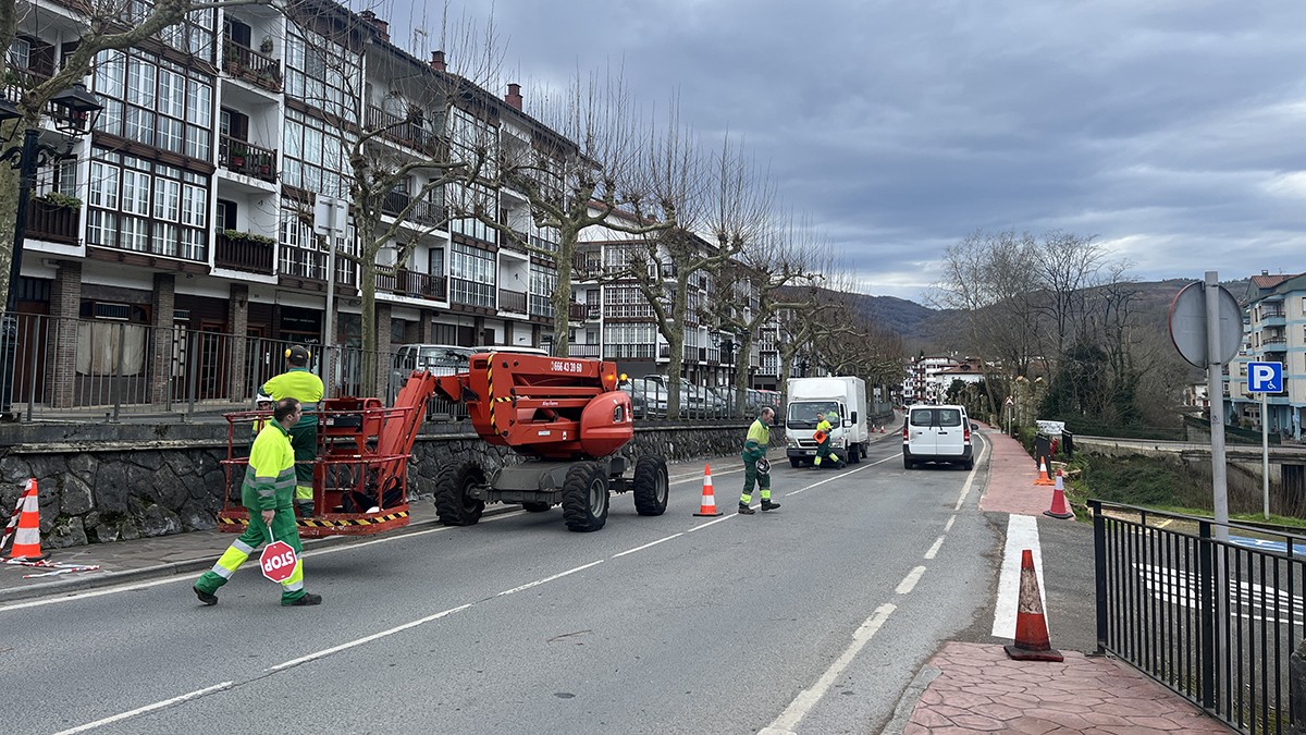 Berako Eztegara pasealekuko arbolak kimatuko dituzte heldu den astean