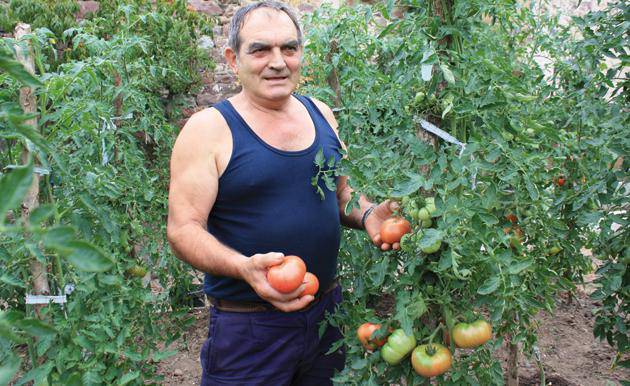 «Duela 30 urte 9.000 tomate landare saltzen genituen eta gaur egun 3.000»