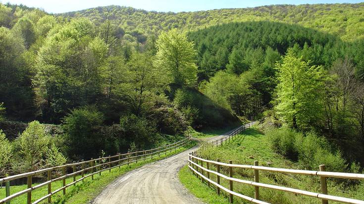 Trail Gazers argazki lehiaketa antolatu du Plazaola Partzuergoak