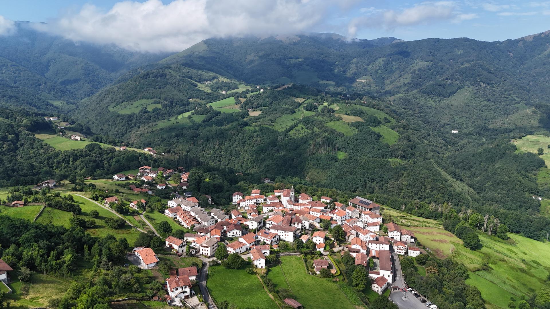 Bortzirietan Beran hazi da batez ere biztanleria eta Arantzan jautsi da gehien