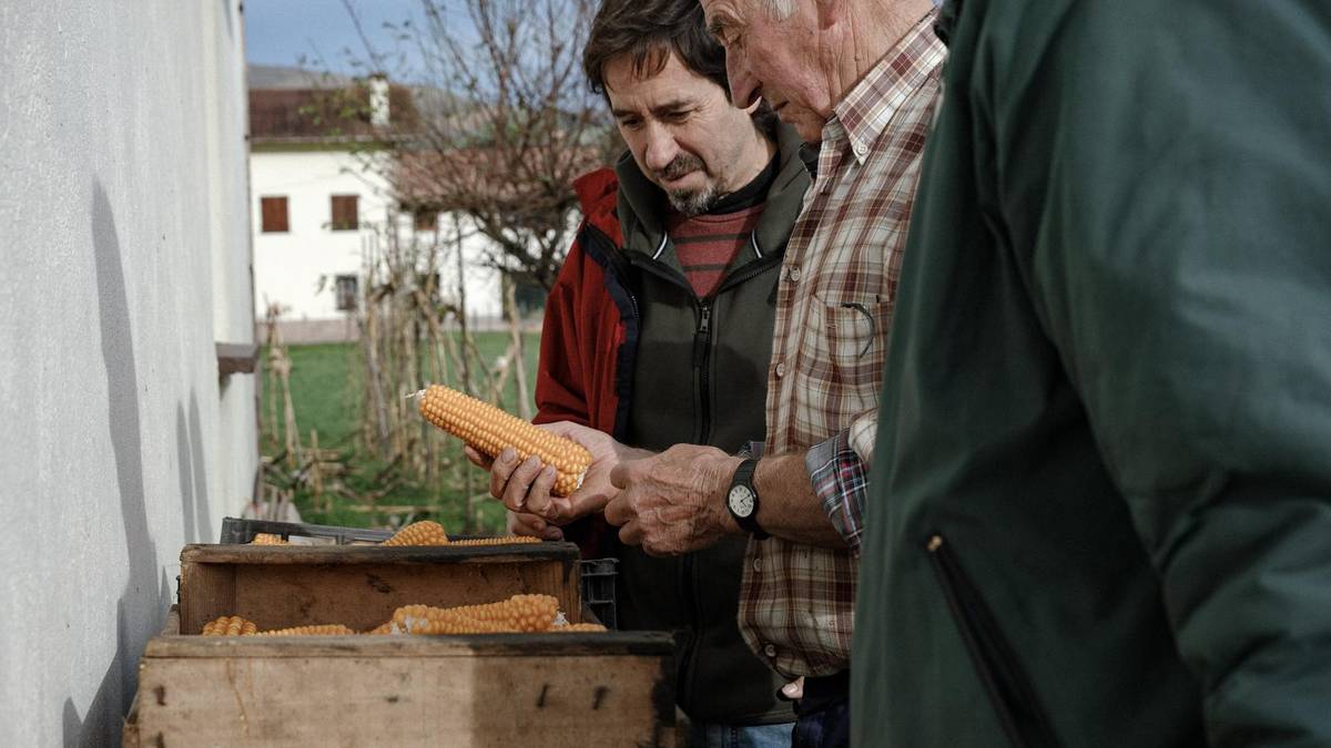 «Gibelean duen historiak definitzen du arto barietate bakoitza»