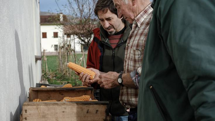 «Gibelean duen historiak definitzen du arto barietate bakoitza»