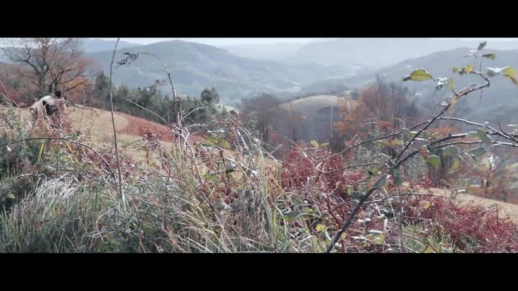 Olentzerok Eguberrietako erosketak Lesakan egitera bultzatu nahi ditu herritarrak