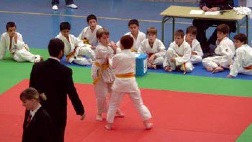 Lau domina eskuratu dituzte Errekako judoka benjaminek