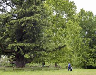 Ingurumenaren Munduko Eguna dela eta, Bertizko Parke Naturaleko sarrera libre izanen da gaur