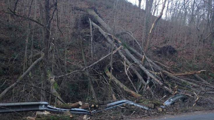 Haizearen ondorioz itxita gelditu diren bideak irekitzeko herritarren laguntza eskatu du Lesakako Udalak